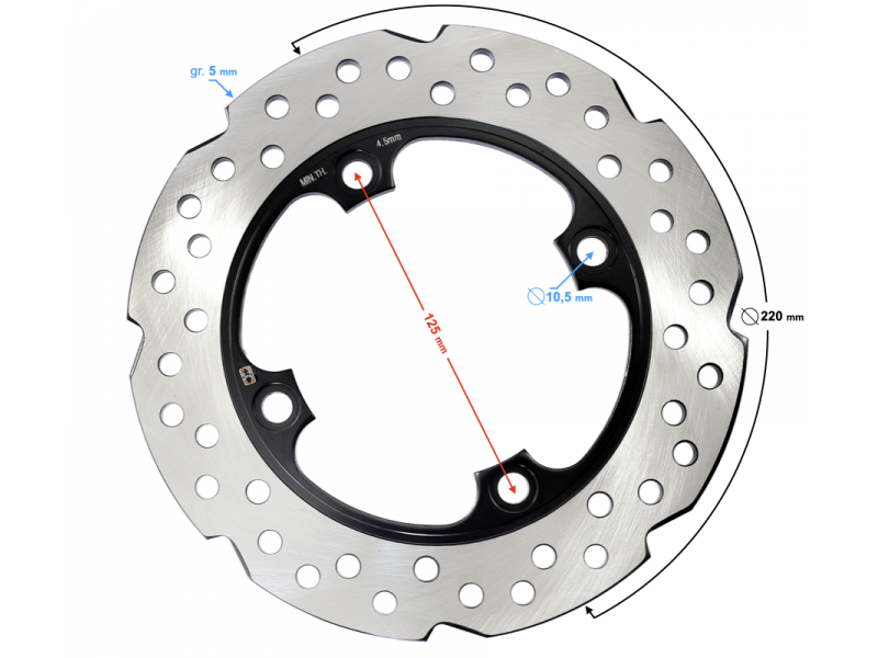 Rear brake disc GT 125