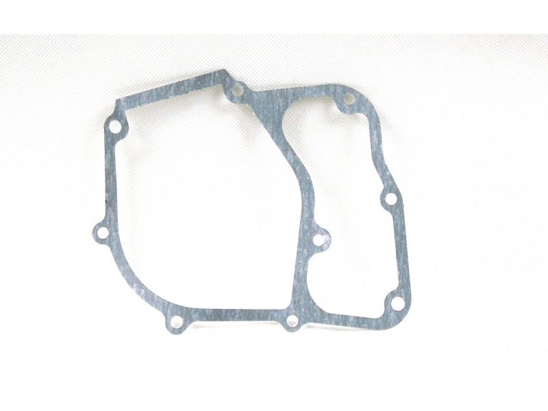Crankcase seal for B-Max scooter