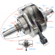 Crankshaft set NXT250 2021