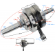 Crankshaft GT 125