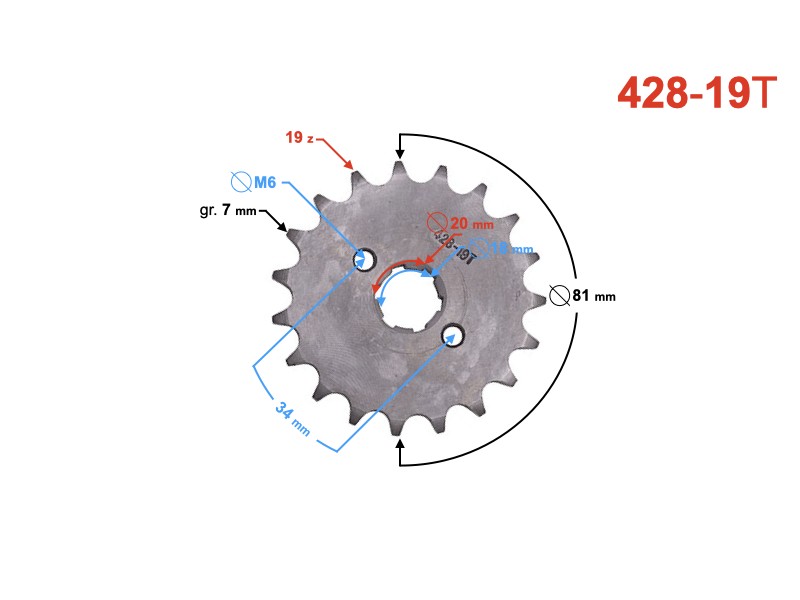 Drive sprocket Moretti 19/428 for TZ125