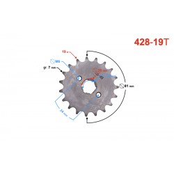 Drive sprocket Moretti 19/428 for TZ125
