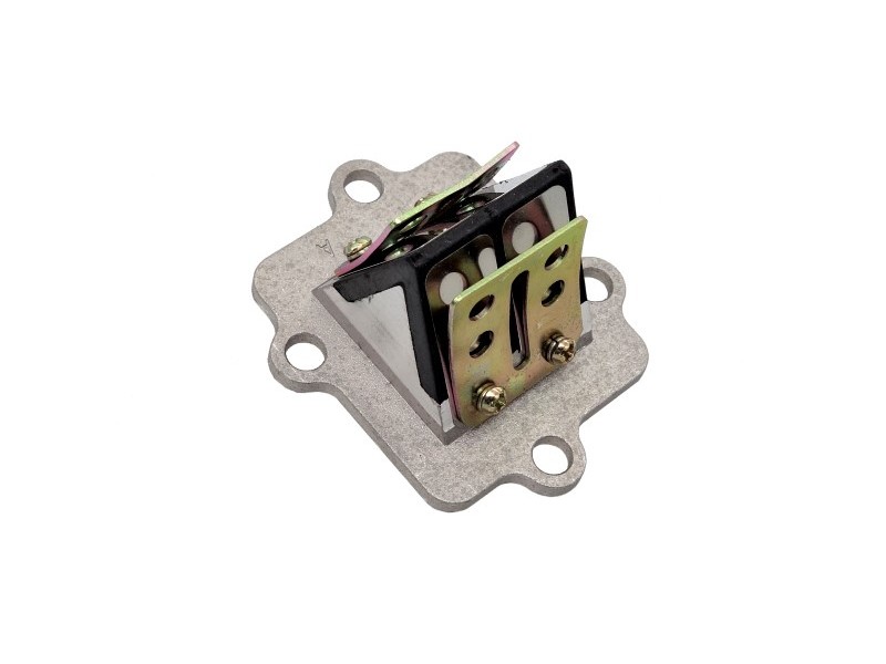 Membrane valve 2T scooter