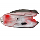 Red fuel tank for FR 2 moped