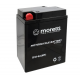 AGM (Gel) MB 38-6A Moretti battery