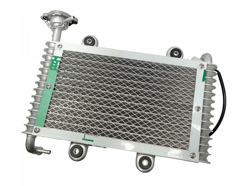 Bashan 200 cooler