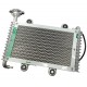 Bashan 200 cooler