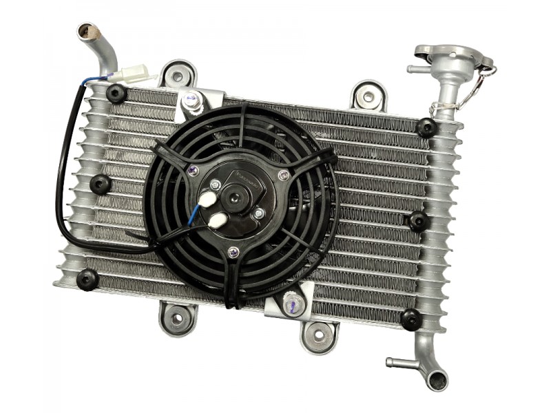 Bashan 200 cooler