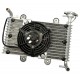 Bashan 200 cooler