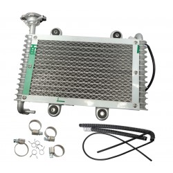 Bashan 200 cooler Bashan 200 cooler