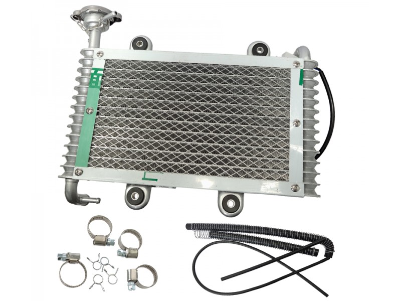 Bashan 200 cooler