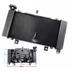 VOGE 525DSX radiator