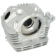Cylinder Head NXT250 2021