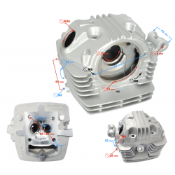Cylinder Head NXT250 2021