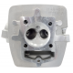 NXT250 Printhead