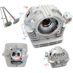 NXT250 Printhead