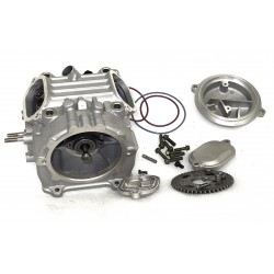 Complete head Hisun Guardian 550L