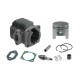 Cylinder for Pocket Bike 2T 50cc