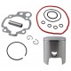 Moretti Cylinder and cylinder head for moped 2T 90cc AM6, violet