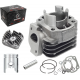 Cylinder and cylinder head for scooter 2T 50cc 1PE40QMB, bolt 12mm