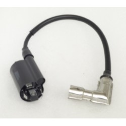 Ignition coil Braver 300