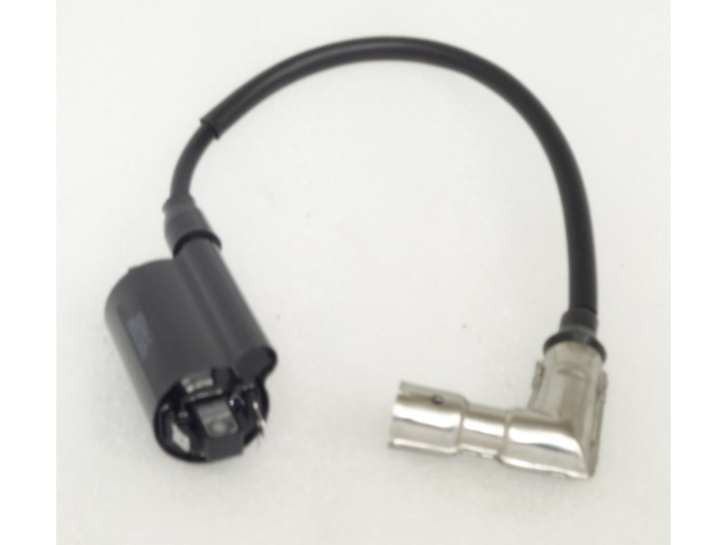 Ignition coil Braver 300