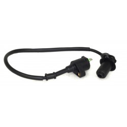 ATV Raze 200 Ignition Coil