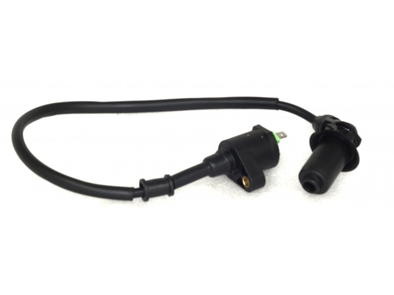 ATV Raze 200 Ignition Coil