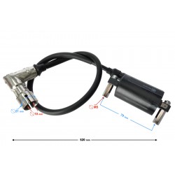 Ignition coil FR2