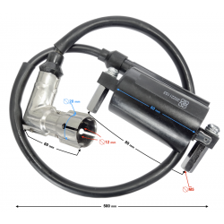 Ignition coil Naked 50