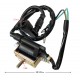Ignition coil ATV110