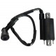 Ignition coil for YP250