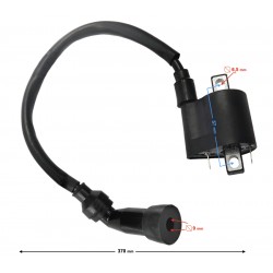 Ignition coil Classic 125 (Euro5)