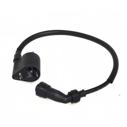 Ignition coil Rally 125