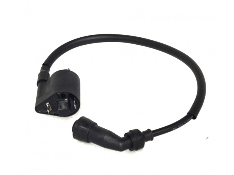 Ignition coil Rally 125