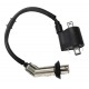 HV Coil falcon 125 (E5)