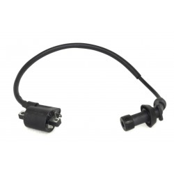 Ignition coil Coral 125