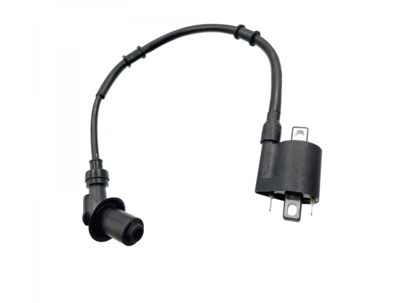 Ignition coil Coral 50