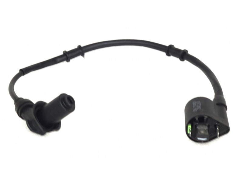 Ignition coil Coral 50