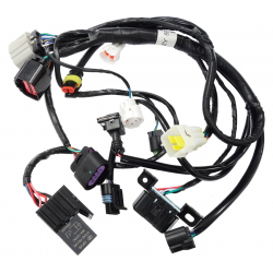 Injection element, EFI-cabling for Hyper 125