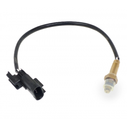 Oxygen sensor X-trail 125