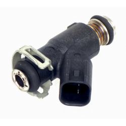 Fuel injection Hisun Forester 750