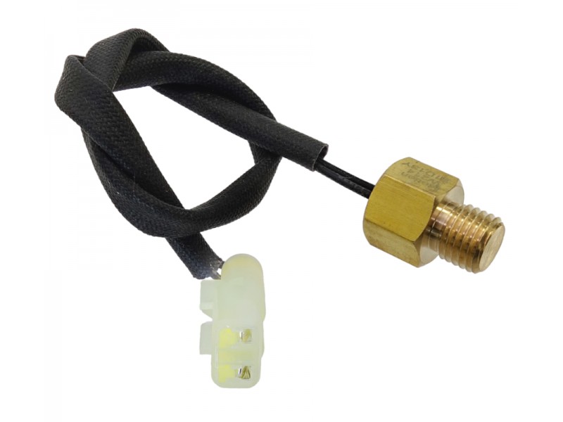 Cylinder temperature sensor Classic 125 (Euro 5)