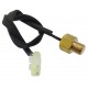 Cylinder temperature sensor Classic 125 (Euro 5)