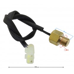 Cylinder temperature sensor Classic 125 (Euro 5)
