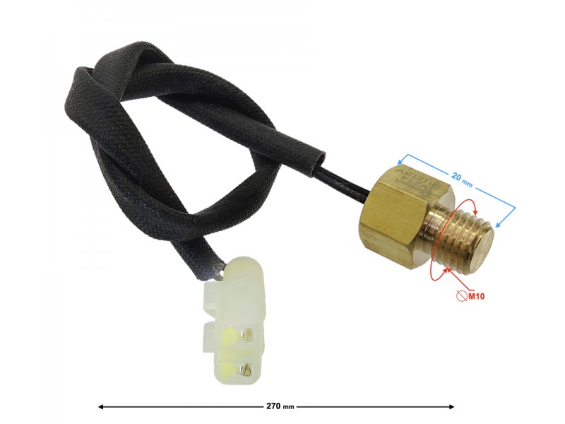 Cylinder temperature sensor Classic 125 (Euro 5)