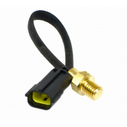 Temperature sensor Coral 125