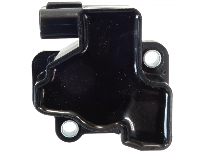 Mapsensor with throttle position sensor Falcon 125 2