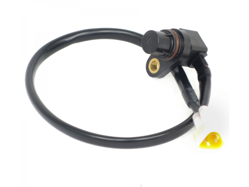 Speed sensor Braver 300