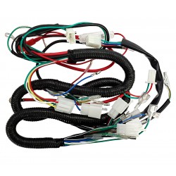 Electrical installation ATV 125cc Electrical installation ATV 125cc